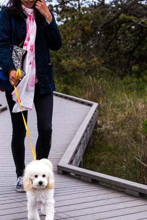 Summer Travel Scarf - Tae With Jane NY