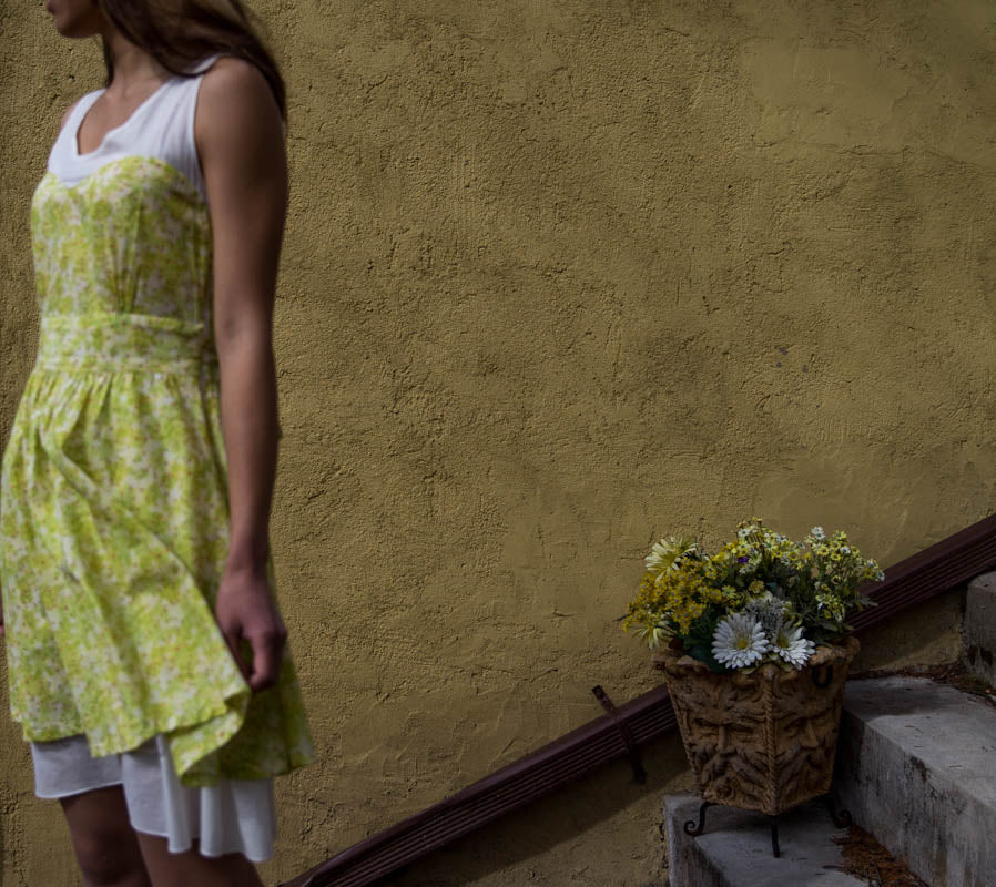 Vintage Look Floral Print Dress