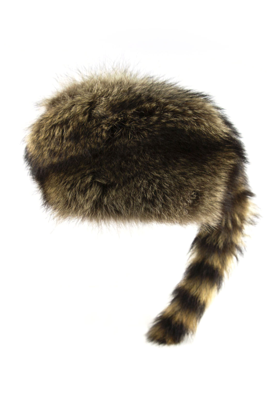 Coonskin Hat